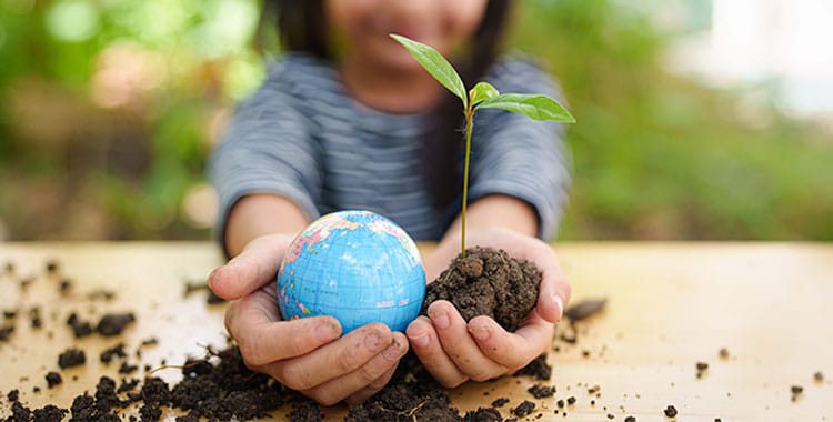 Sustainability