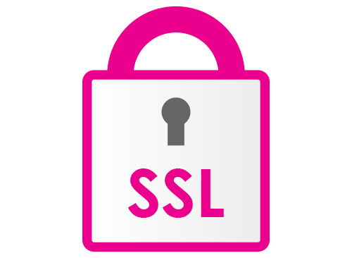 SSL Technology
